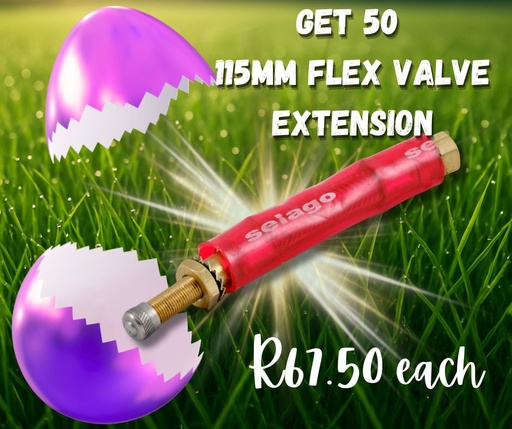 [3221] 125MM FLEX VALVE EXTENSION