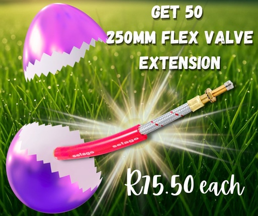 [3223] 250MM FLEX VALVE EXTENSION